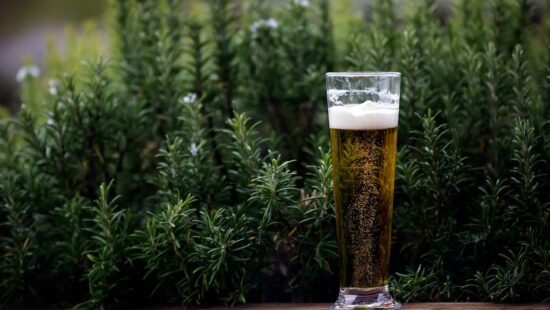 Geman-beer-in-a-pint-glass